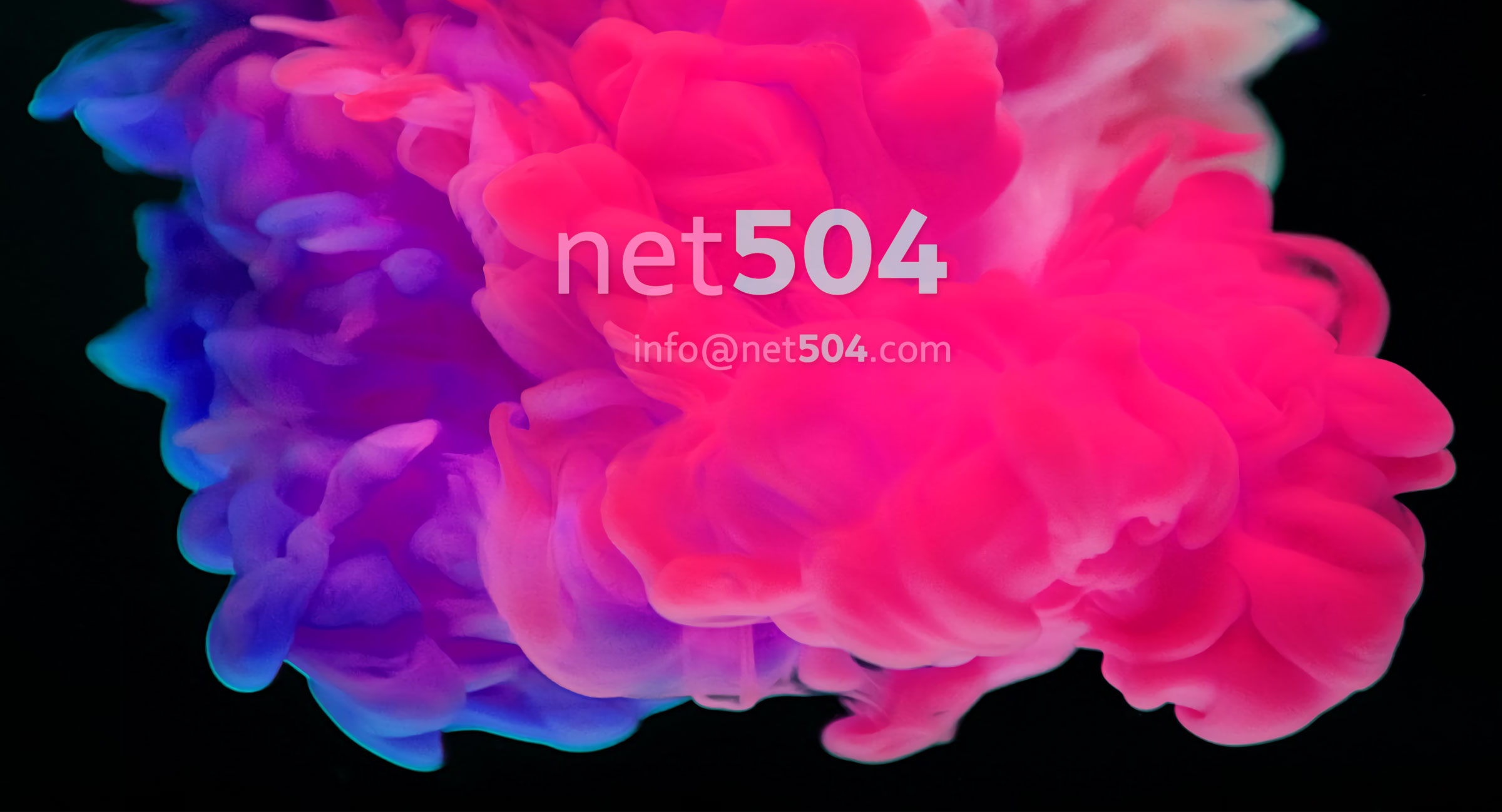 net504